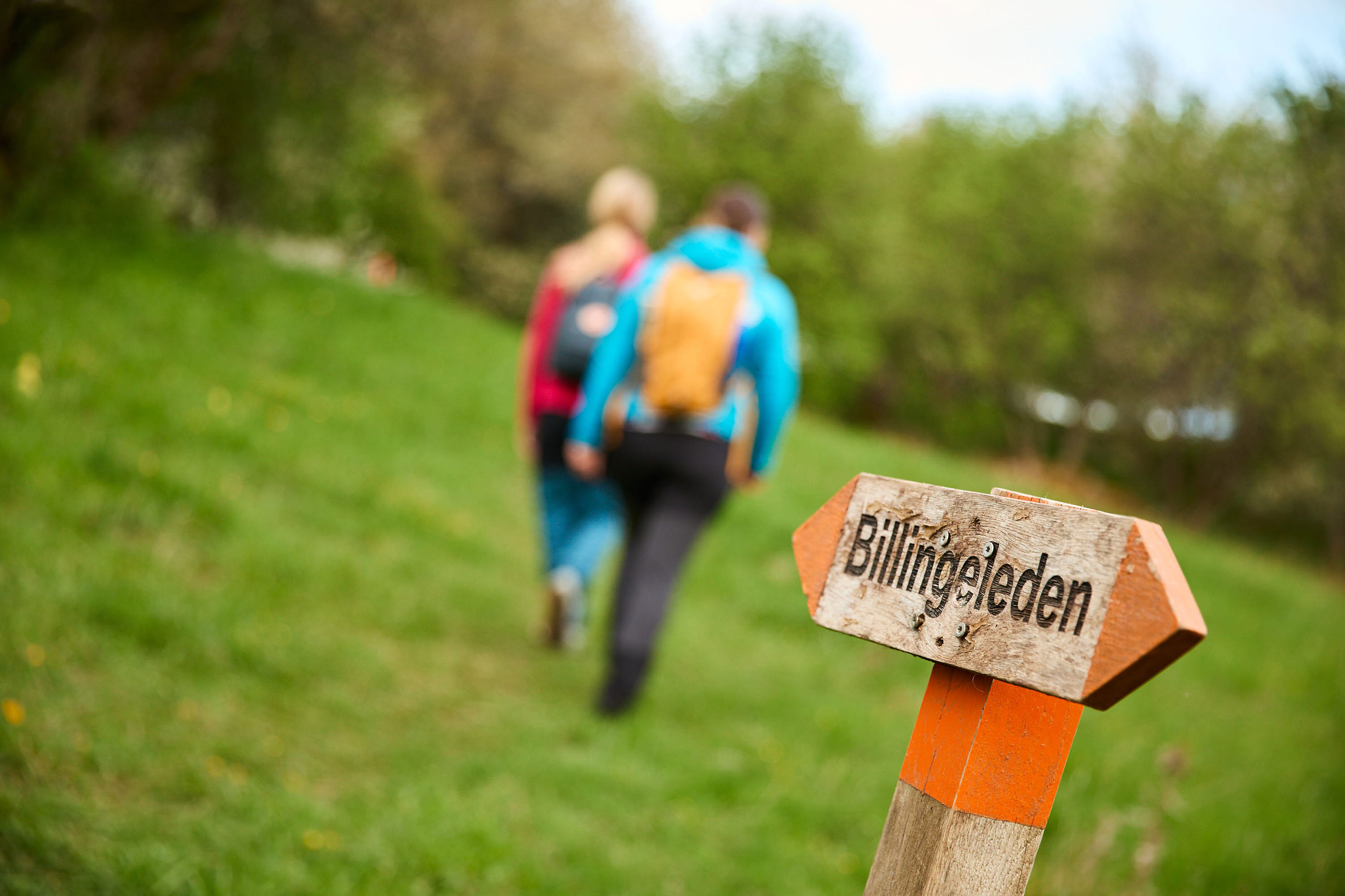 Vandrare på Billingeleden