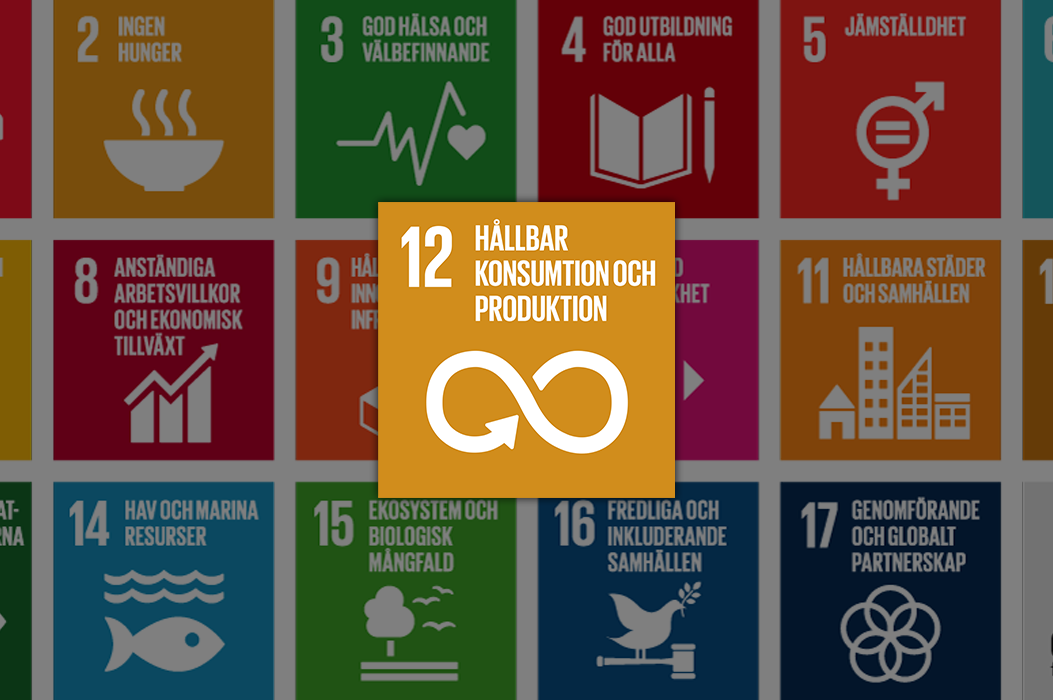 hållbar konsumtion och produktion fn:s globala mål